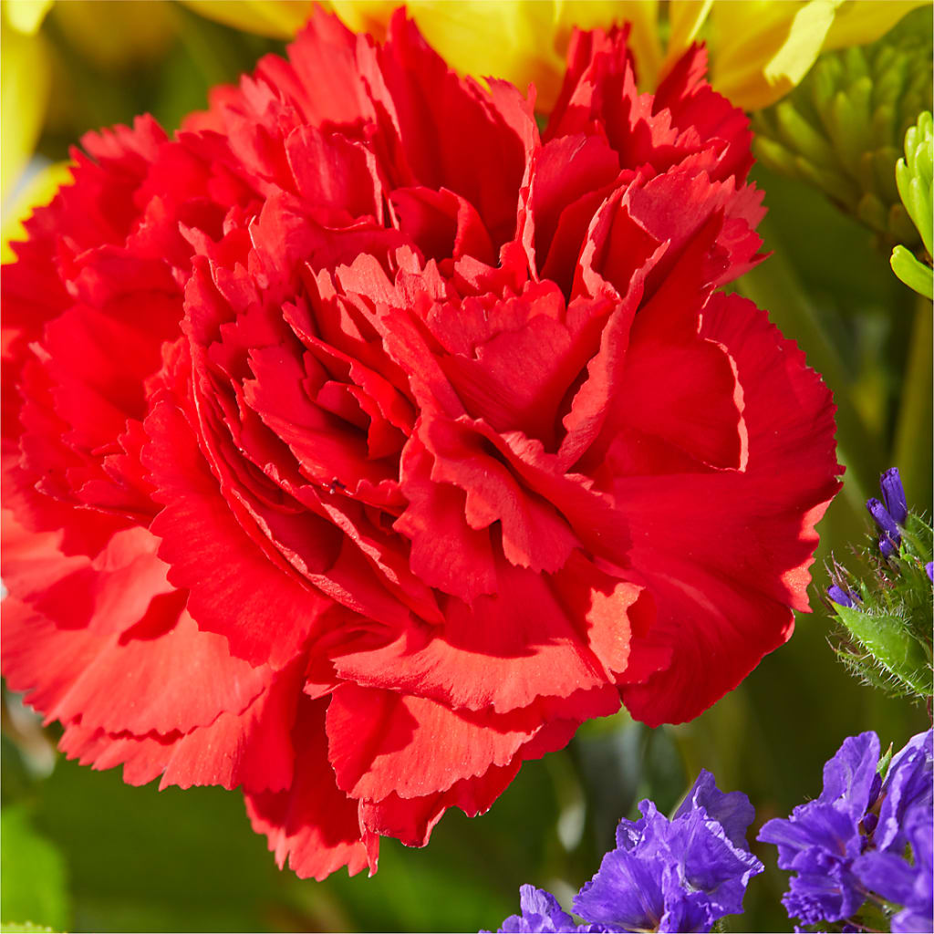 Brighter Days Bouquet –  Charlynda Fleuriste, Sherbrooke PQ