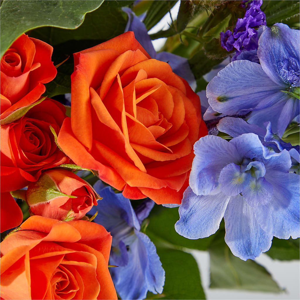 Radiant Citrus Bouquet –  Charlynda Fleuriste, Sherbrooke PQ