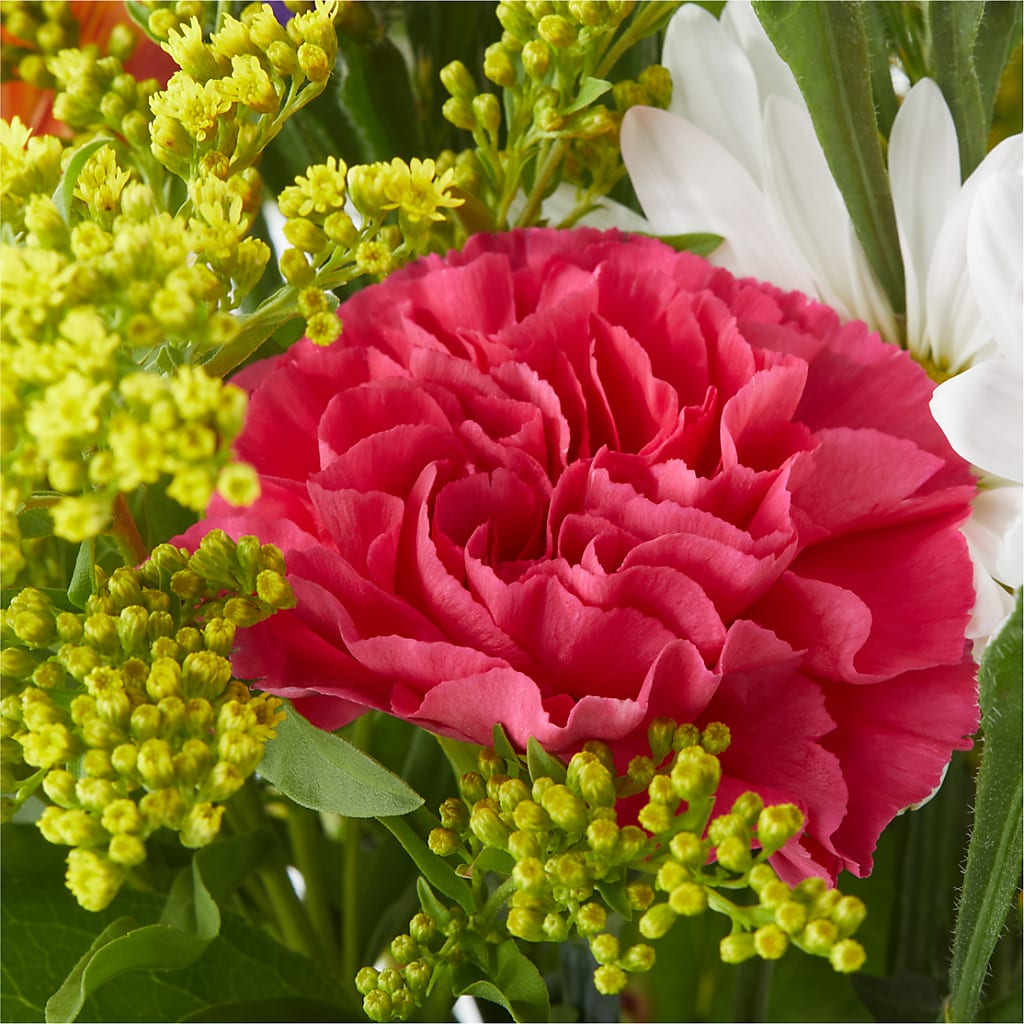 Oopsie Daisy Bouquet –  Charlynda Fleuriste, Sherbrooke PQ