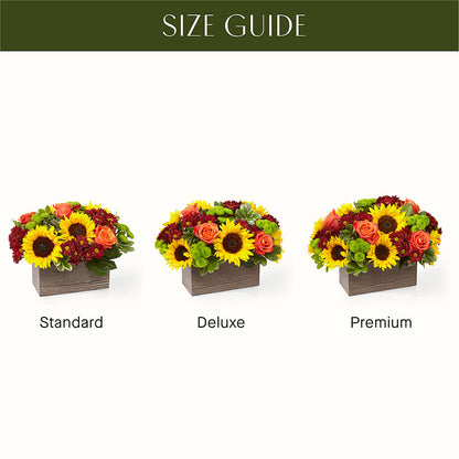 Happy Harvest Garden –  Charlynda Fleuriste, Sherbrooke PQ