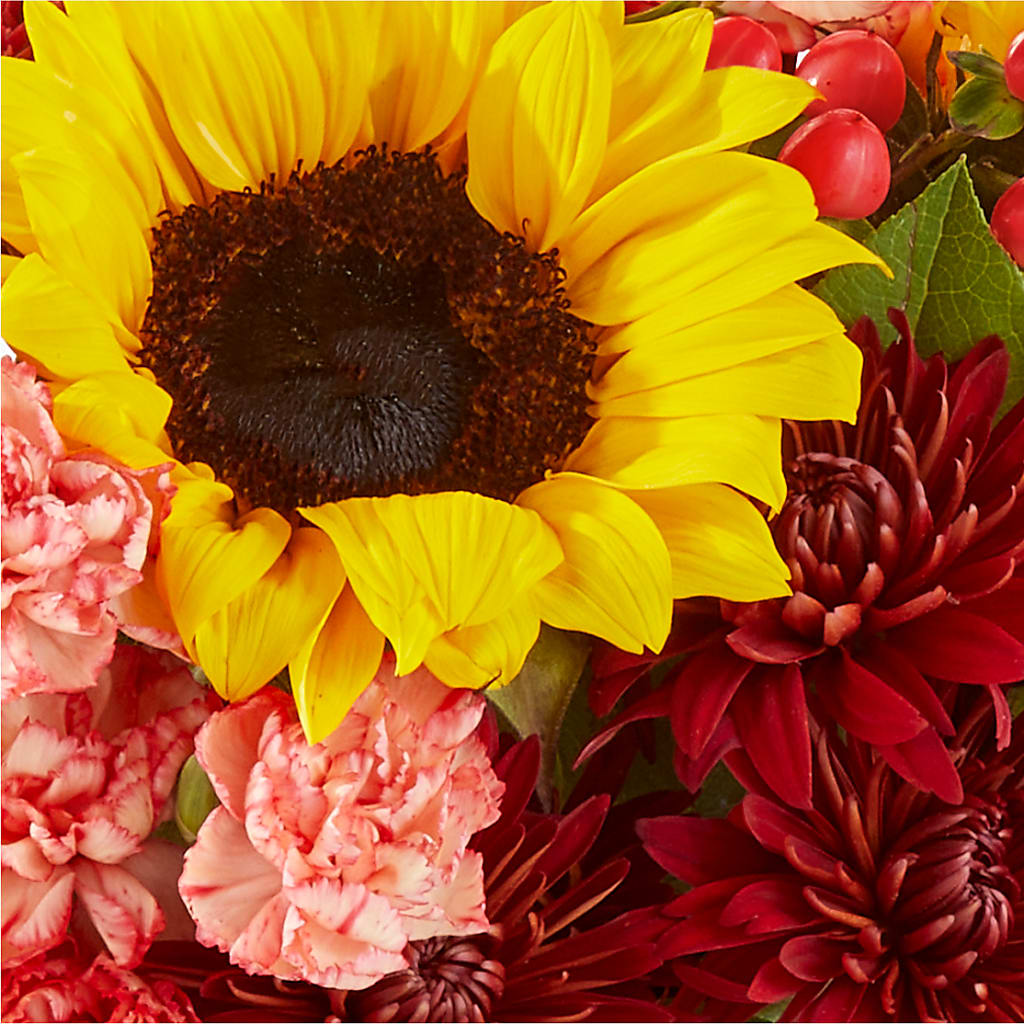 Fresh Cider Bouquet –  Charlynda Fleuriste, Sherbrooke PQ