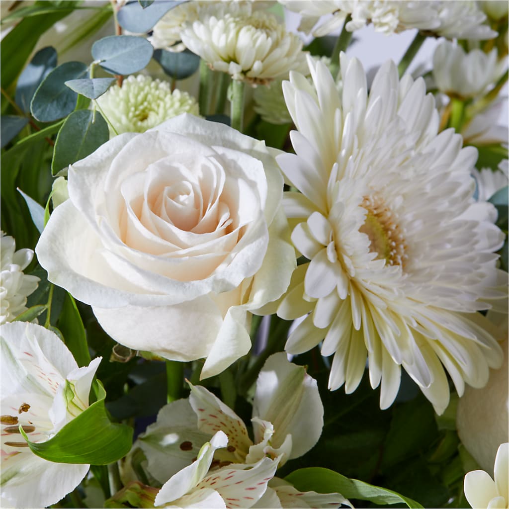 New Beginnings – A Florist Original –  Charlynda Fleuriste, Sherbrooke PQ