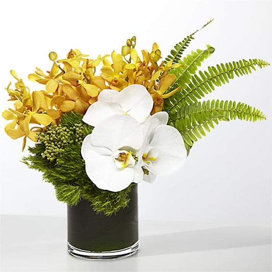 The Tropics –  Charlynda Fleuriste, Sherbrooke PQ