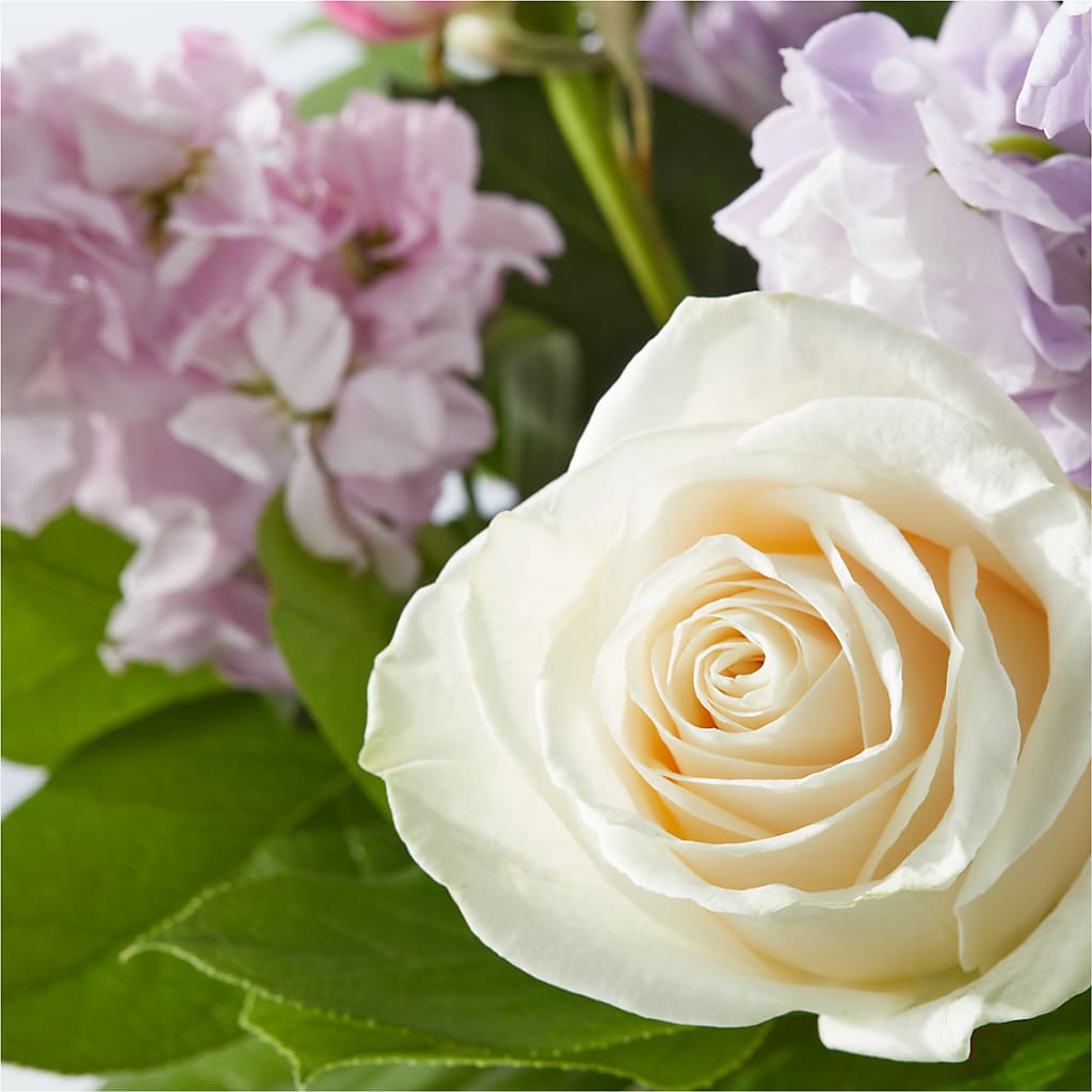 Springtime Spritz Bouquet –  Charlynda Fleuriste, Sherbrooke PQ