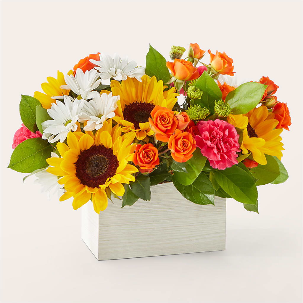 Sun-drenched Blooms Box Bouquet –  Charlynda Fleuriste, Sherbrooke PQ
