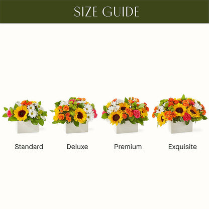 Sun-drenched Blooms Box Bouquet –  Charlynda Fleuriste, Sherbrooke PQ