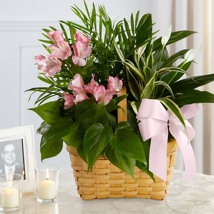 Living Spirit Dishgarden –  Charlynda Fleuriste, Sherbrooke PQ