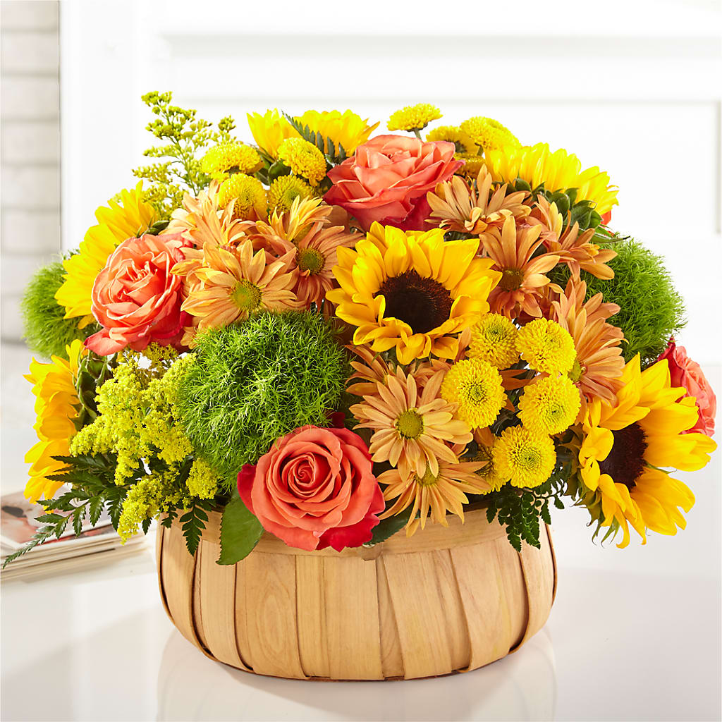 Panier de tournesols de récolte
