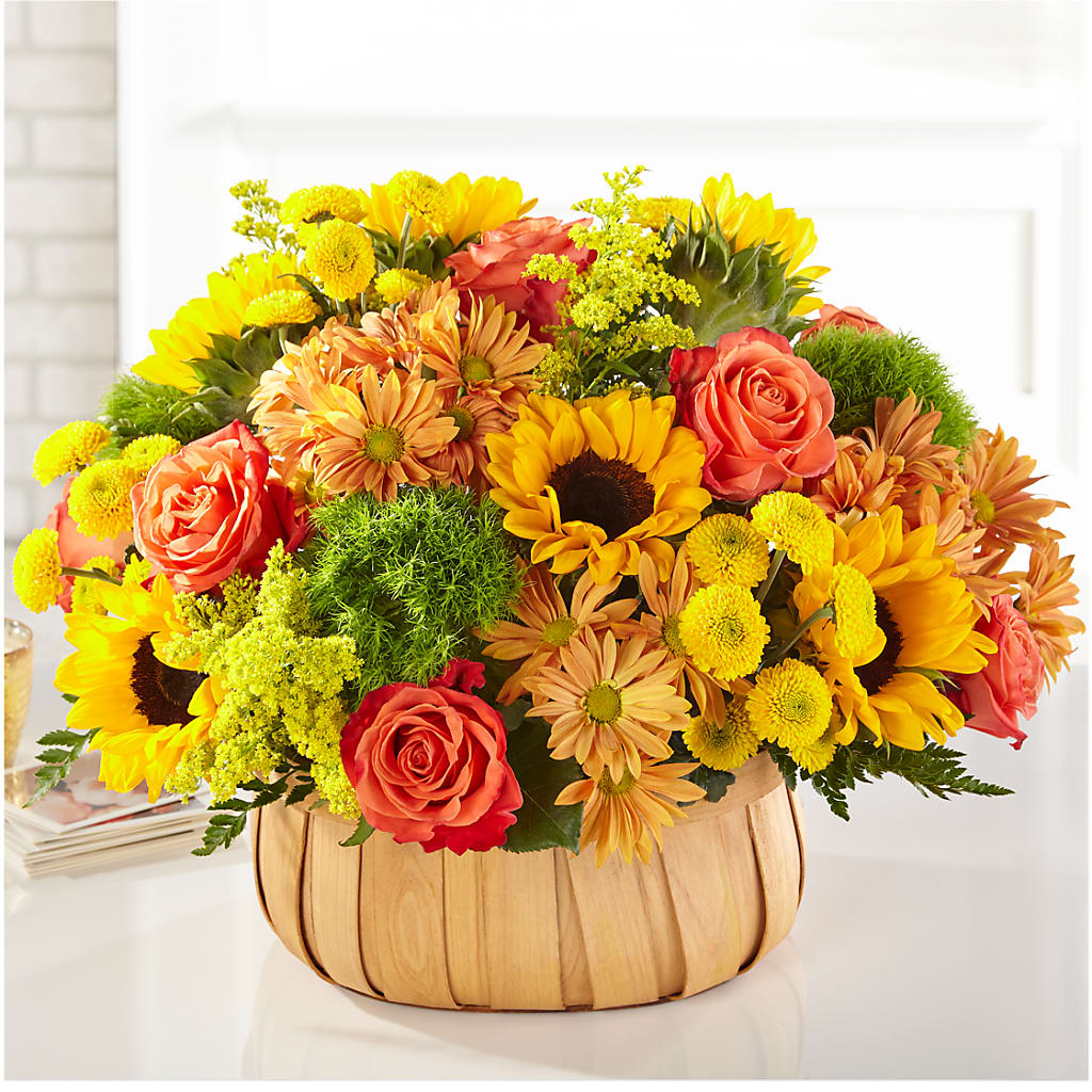Panier de tournesols de récolte
