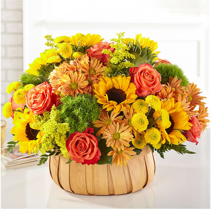 Panier de tournesols de récolte