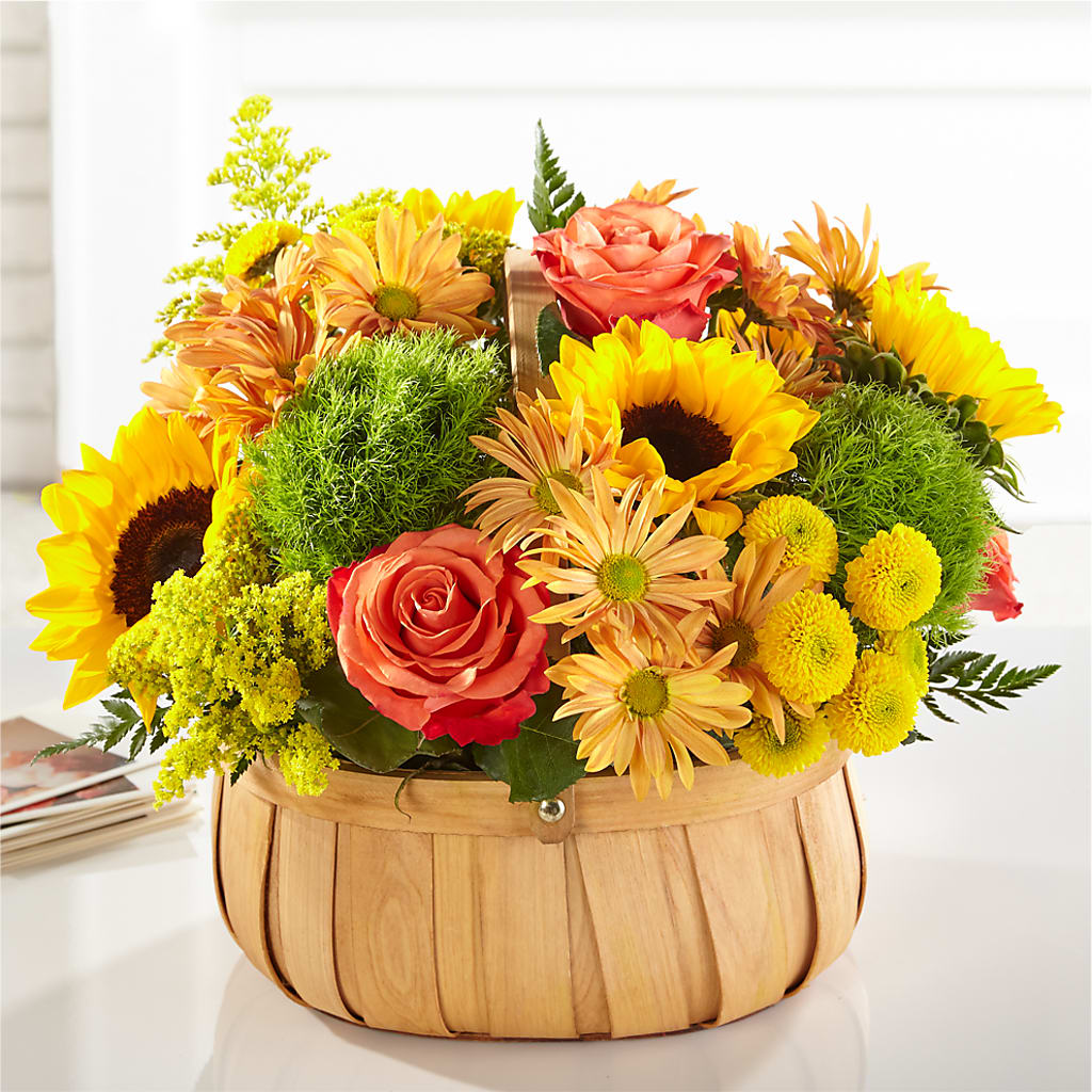 Panier de tournesols de récolte