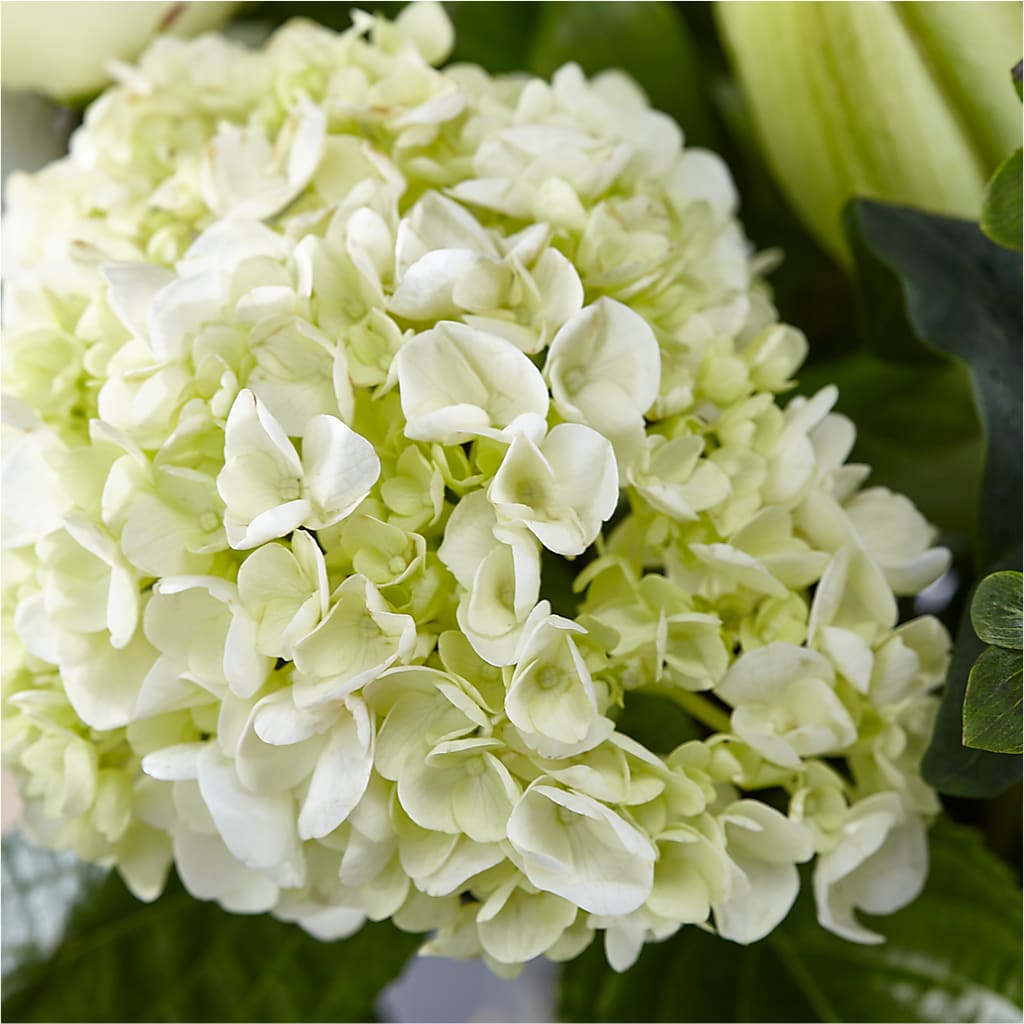 Classic Ivory – A Florist Original –  Charlynda Fleuriste, Sherbrooke PQ
