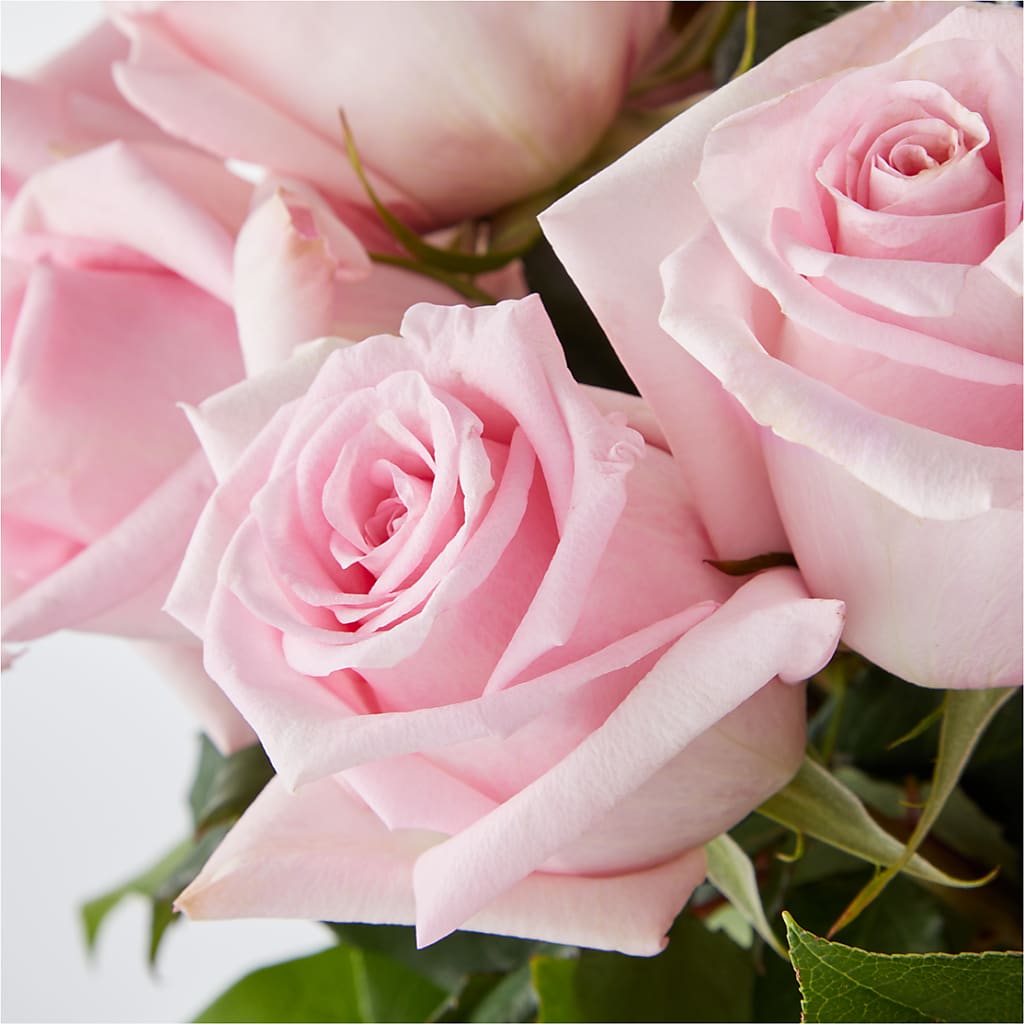 Picture Perfect Pink Rose Bouquet –  Charlynda Fleuriste, Sherbrooke PQ