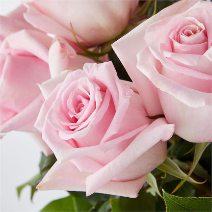 Picture Perfect Pink Rose Bouquet –  Charlynda Fleuriste, Sherbrooke PQ