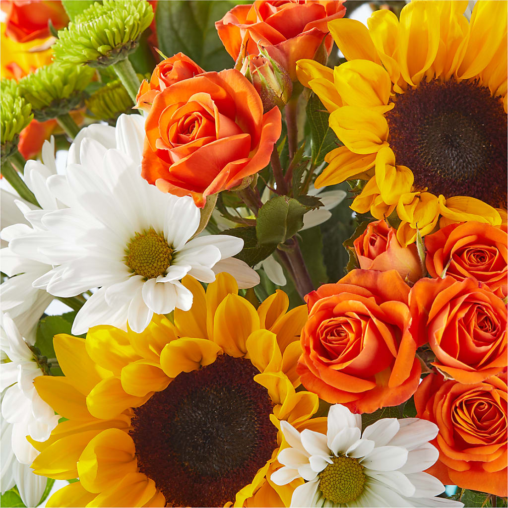 Sun-drenched Blooms Bouquet –  Charlynda Fleuriste, Sherbrooke PQ