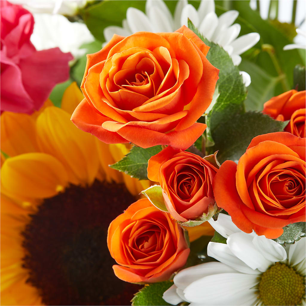 Sun-drenched Blooms Bouquet –  Charlynda Fleuriste, Sherbrooke PQ