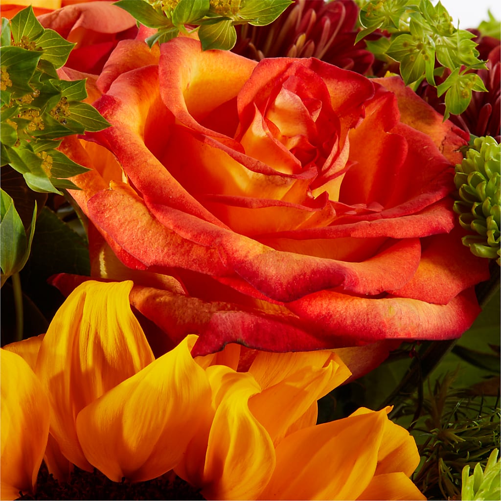Harvest Festival Bouquet –  Charlynda Fleuriste, Sherbrooke PQ