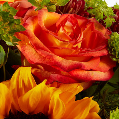 Harvest Festival Bouquet –  Charlynda Fleuriste, Sherbrooke PQ