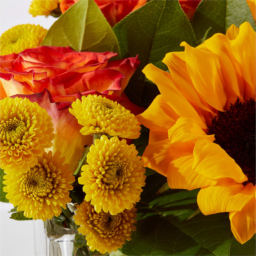 Picnic in the Park Bouquet –  Charlynda Fleuriste, Sherbrooke PQ