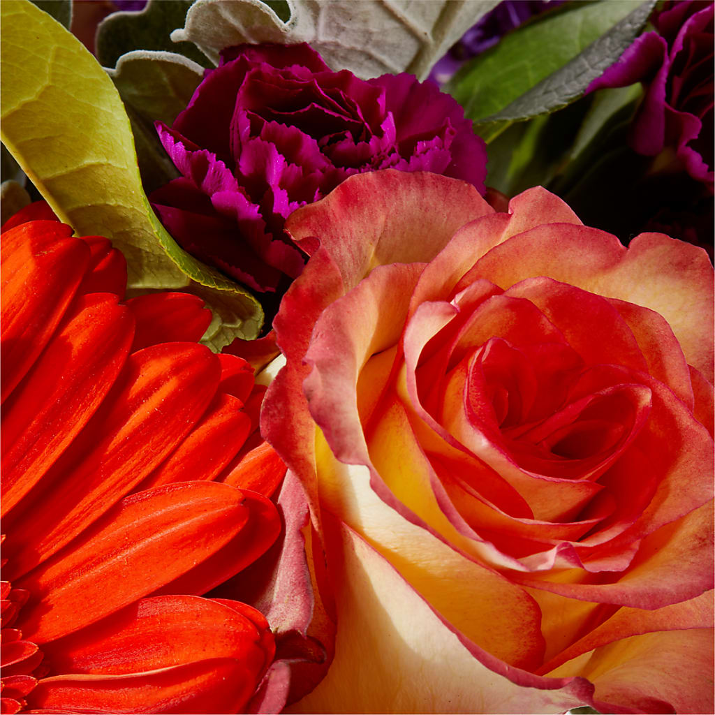 Sangria Bouquet –  Charlynda Fleuriste, Sherbrooke PQ