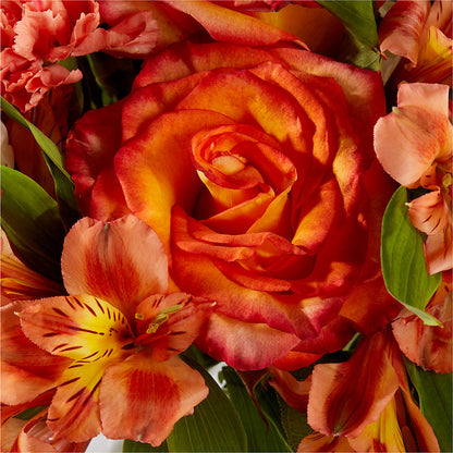 Apricot Glow Bouquet –  Charlynda Fleuriste, Sherbrooke PQ