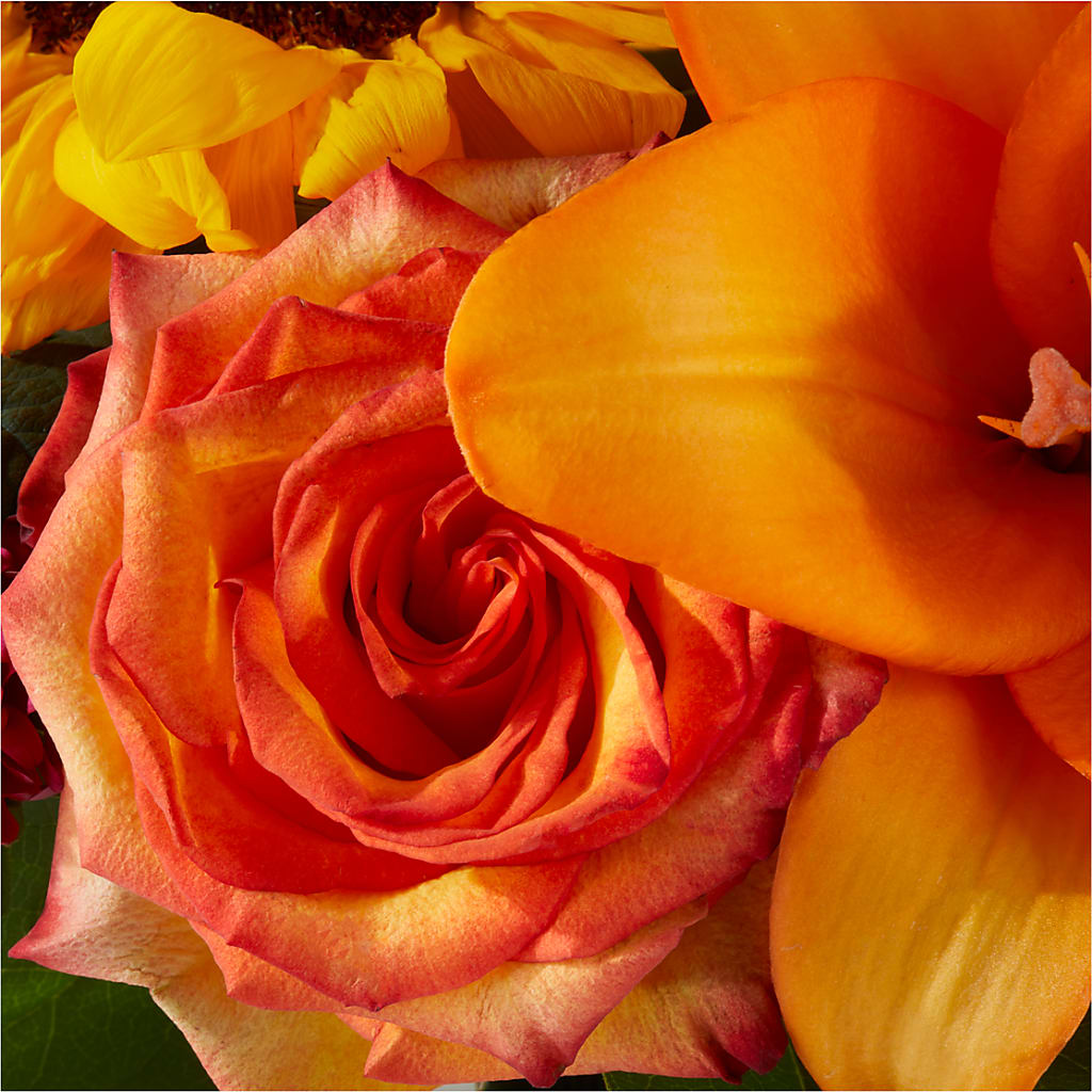 Grateful Centerpiece –  Charlynda Fleuriste, Sherbrooke PQ
