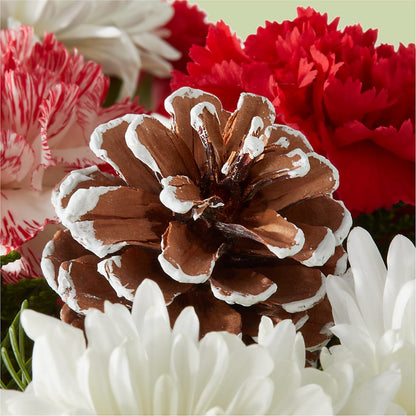 Candy Cane Lane Bouquet –  Charlynda Fleuriste, Sherbrooke PQ