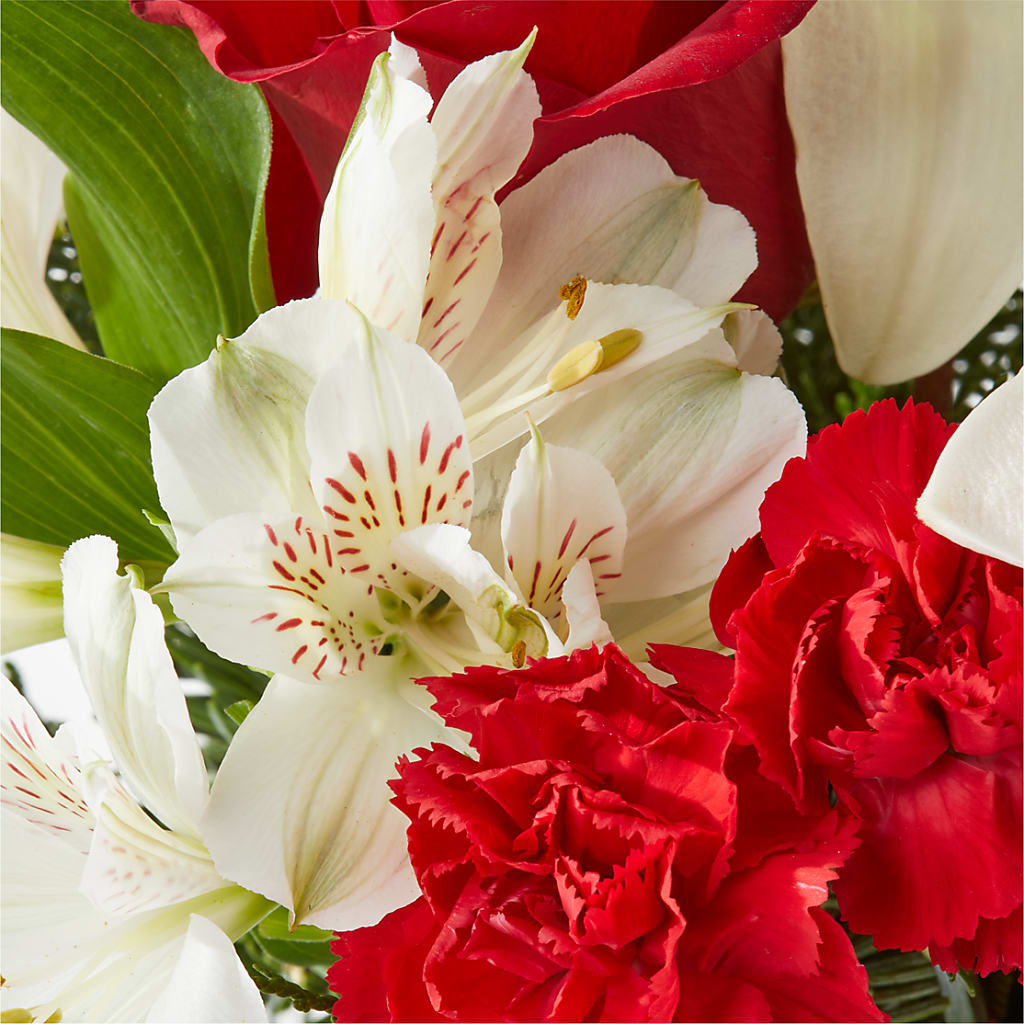 Holiday Season Bouquet –  Charlynda Fleuriste, Sherbrooke PQ
