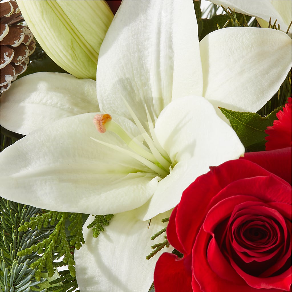 Oh So Jolly Bouquet –  Charlynda Fleuriste, Sherbrooke PQ