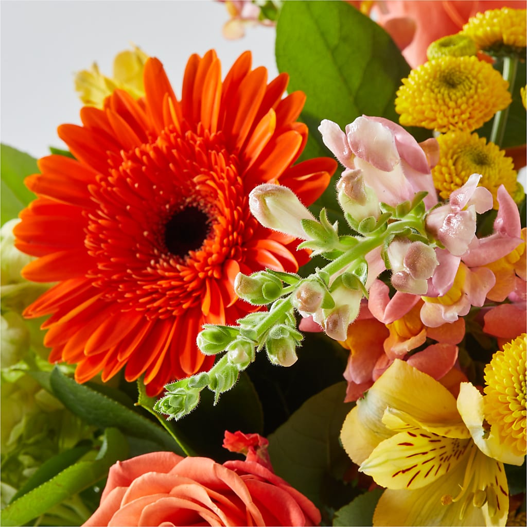 Autumn Sunshine Bouquet –  Charlynda Fleuriste, Sherbrooke PQ