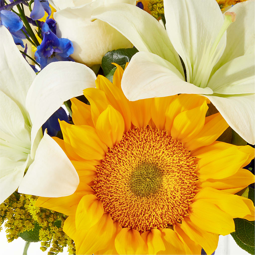 Stargazing Bouquet –  Charlynda Fleuriste, Sherbrooke PQ