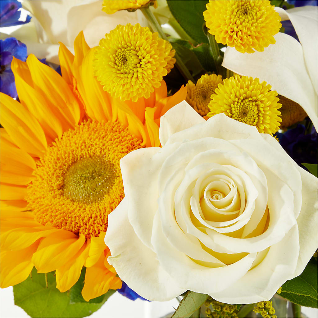 Stargazing Bouquet –  Charlynda Fleuriste, Sherbrooke PQ