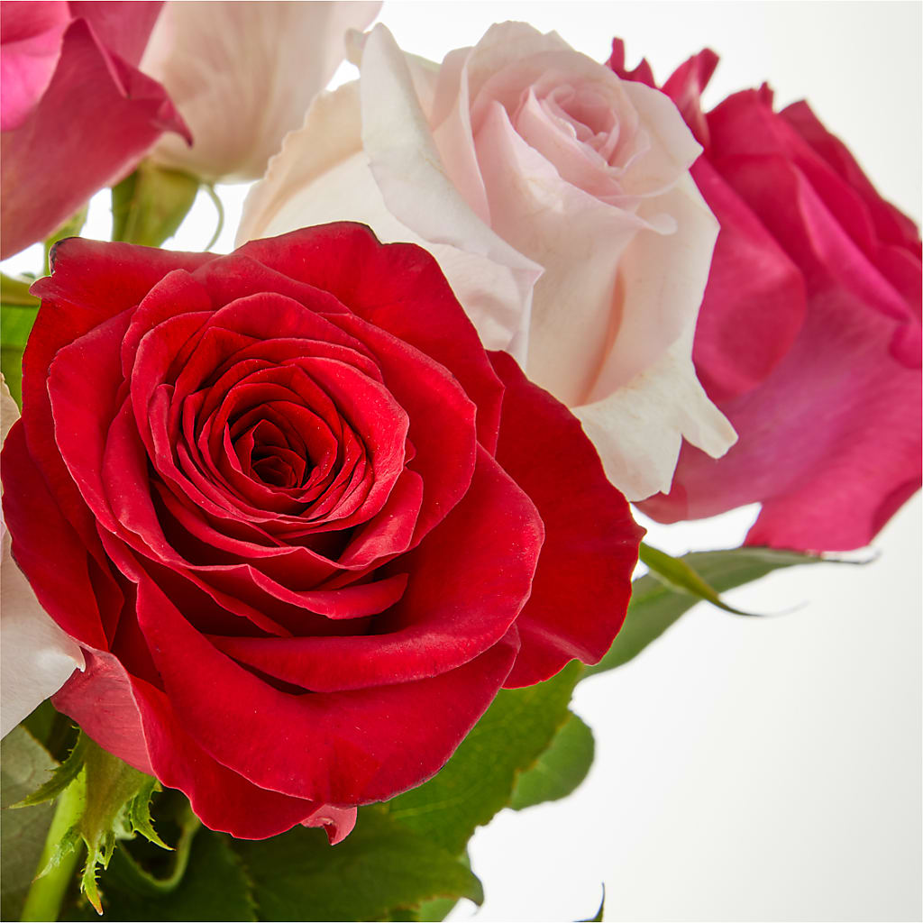 Charming Rose Bouquet –  Charlynda Fleuriste, Sherbrooke PQ