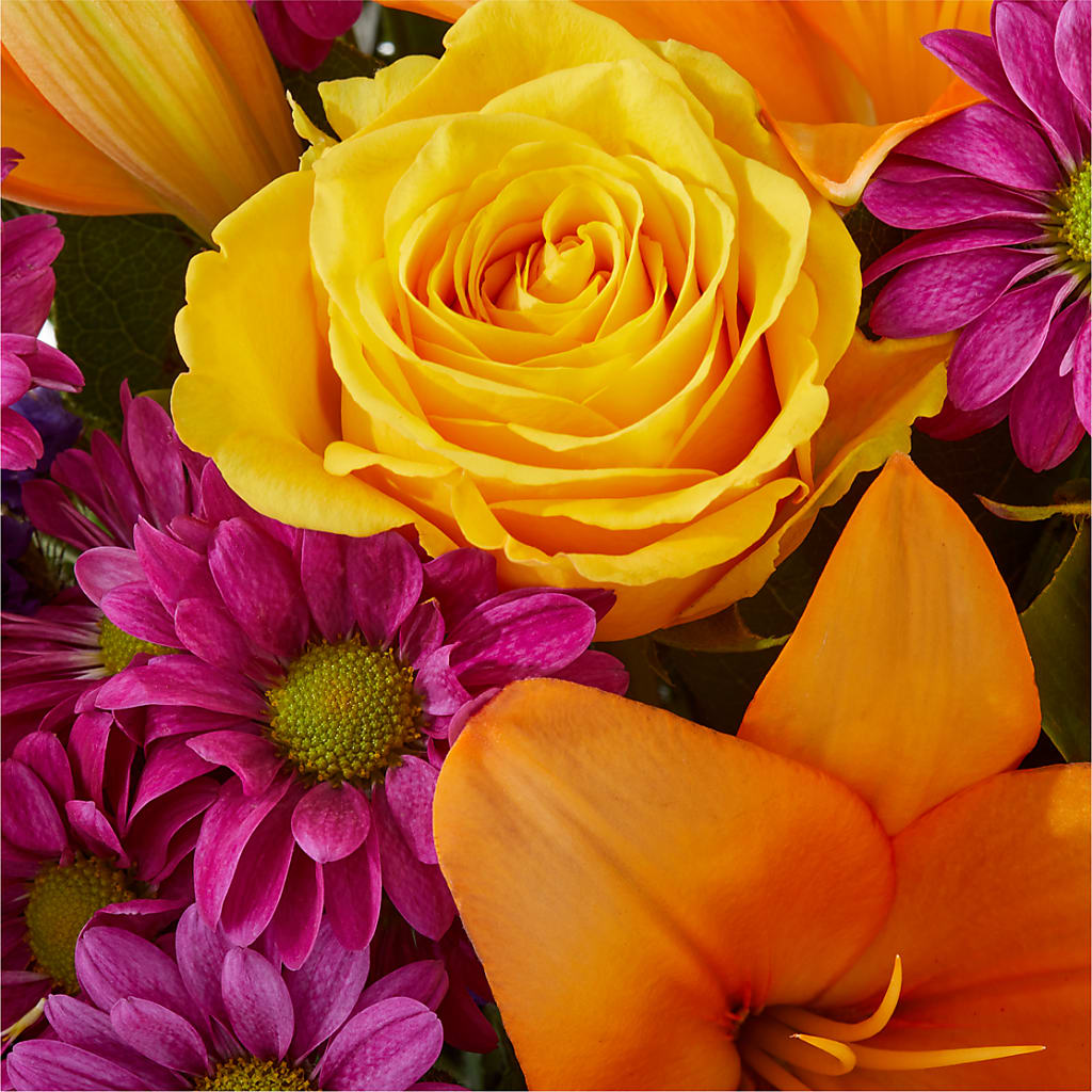 Colorful Visions Bouquet –  Charlynda Fleuriste, Sherbrooke PQ