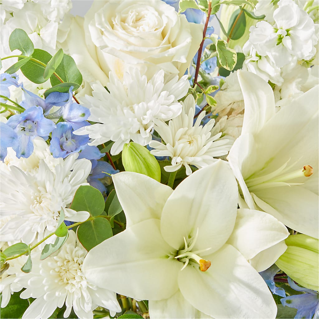 Peace of Mind Bouquet –  Charlynda Fleuriste, Sherbrooke PQ