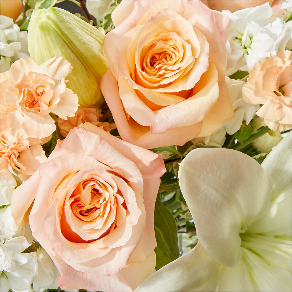 Darling Bouquet –  Charlynda Fleuriste, Sherbrooke PQ
