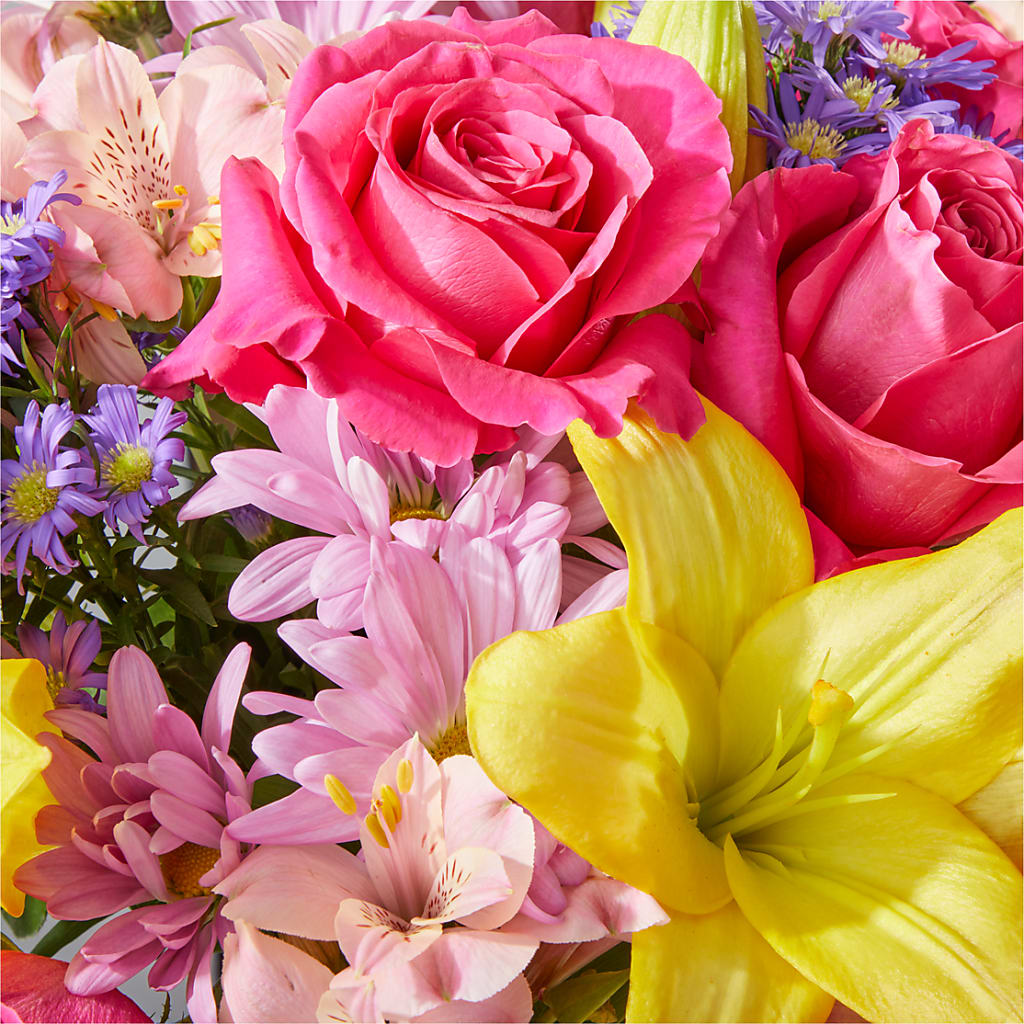 Sprinkles Bouquet –  Charlynda Fleuriste, Sherbrooke PQ