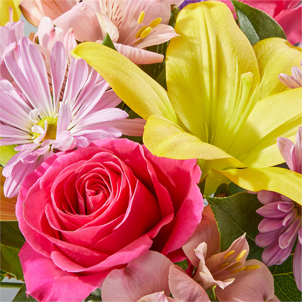 Sprinkles Bouquet –  Charlynda Fleuriste, Sherbrooke PQ