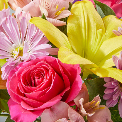 Sprinkles Bouquet –  Charlynda Fleuriste, Sherbrooke PQ