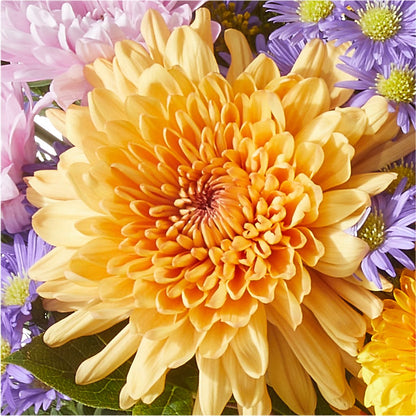 Countryside Bouquet –  Charlynda Fleuriste, Sherbrooke PQ