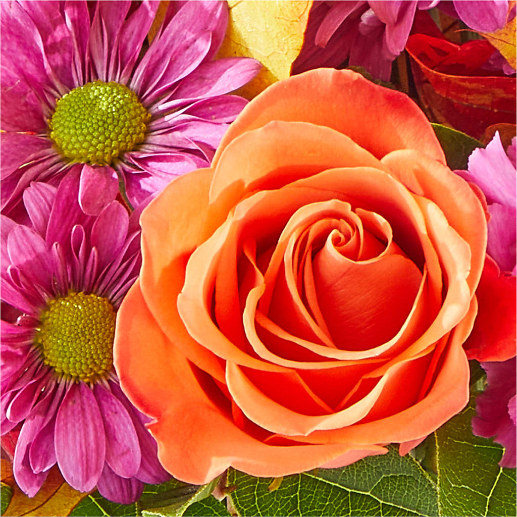 Mum's the Word Bouquet –  Charlynda Fleuriste, Sherbrooke PQ