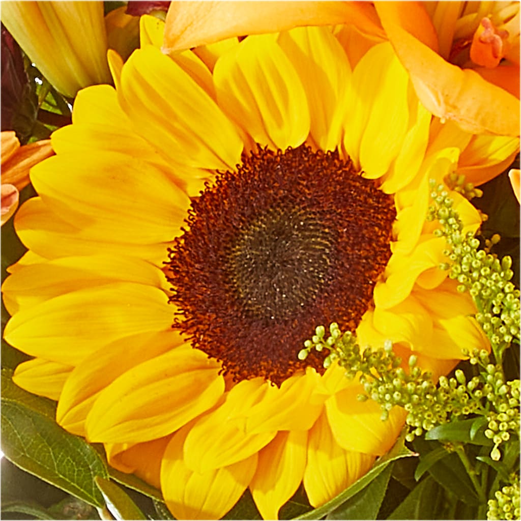 Seasons Change Bouquet –  Charlynda Fleuriste, Sherbrooke PQ