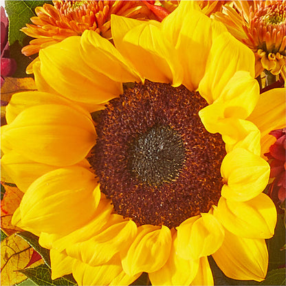Sunny Side Bouquet –  Charlynda Fleuriste, Sherbrooke PQ