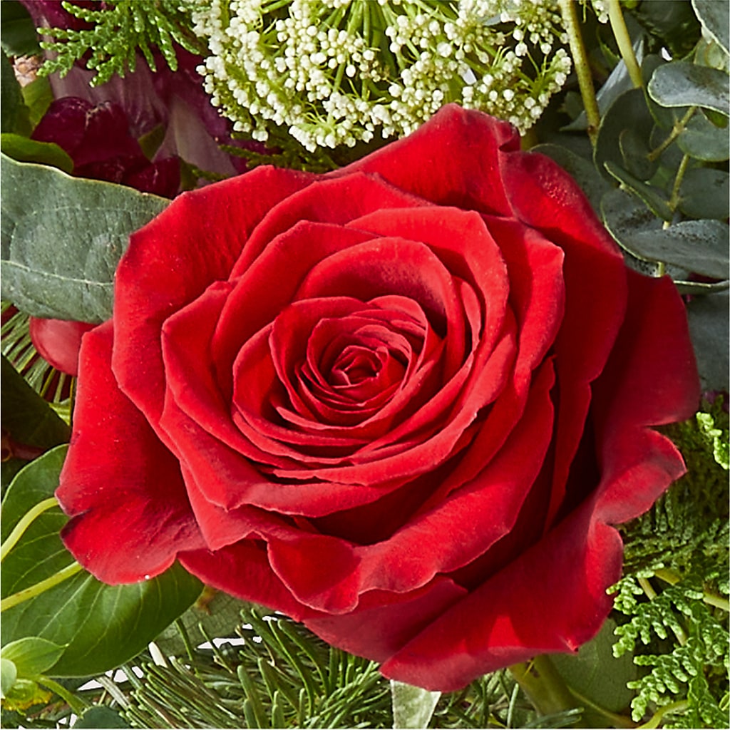 Cranberry Fizz Bouquet –  Charlynda Fleuriste, Sherbrooke PQ