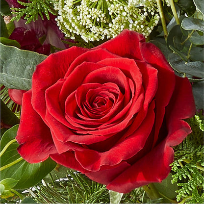 Cranberry Fizz Bouquet –  Charlynda Fleuriste, Sherbrooke PQ