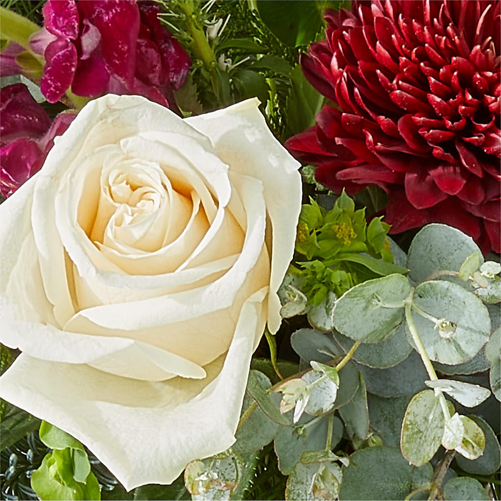 Cranberry Fizz Bouquet –  Charlynda Fleuriste, Sherbrooke PQ