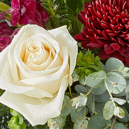 Cranberry Fizz Bouquet –  Charlynda Fleuriste, Sherbrooke PQ