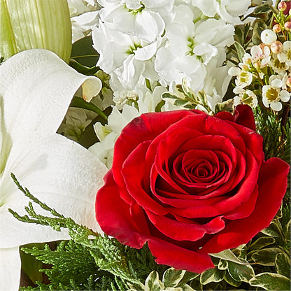 Twinkle Lights Bouquet –  Charlynda Fleuriste, Sherbrooke PQ
