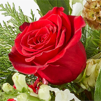 Deck the Halls Bouquet –  Charlynda Fleuriste, Sherbrooke PQ
