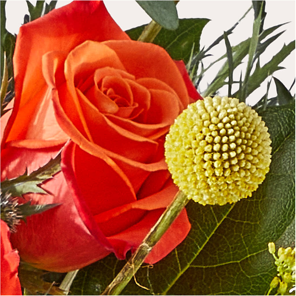 Disco Bouquet –  Charlynda Fleuriste, Sherbrooke PQ
